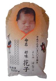 0018 抱きごこち-お祝い 鶴亀