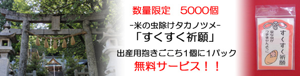 5000個限定 抱きごこち1個に1パック無料サービス 「すくすく祈願」