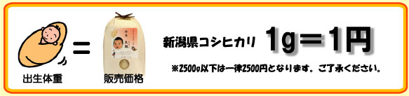 ���i�� �V�����Y�R�V�q�J���@1g��1�~�@�ł��B ��2500g�ȉ��̏ꍇ�͈ꗥ2500�~�ł��B���������������B