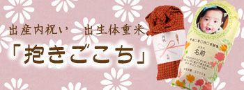 抱きごこち2